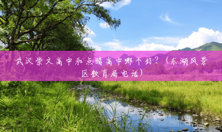 武汉崇文高中和点睛高中哪个好?(东湖风景区教育局电话) 武汉崇文高中和点睛高中哪个好?(东湖风景区教育局电话)