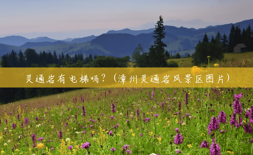 灵通岩有电梯吗?(漳州灵通岩风景区图片) 灵通岩有电梯吗?(漳州灵通岩风景区图片)