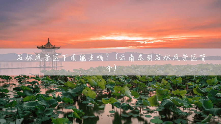 石林风景区下雨能去吗?(云南昆明石林风景区简介) 石林风景区下雨能去吗?(云南昆明石林风景区简介)