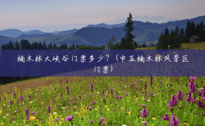 楠木林大峡谷门票多少?(中亚楠木林风景区门票) 楠木林大峡谷门票多少?(中亚楠木林风景区门票)