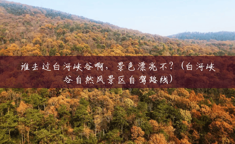 谁去过白河峡谷啊，景色漂亮不？(白河峡谷自然风景区自驾路线)