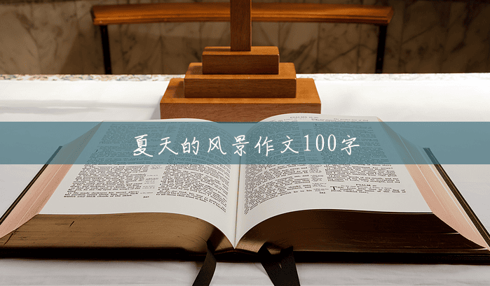 夏天的风景作文100字 夏天的风景作文100字