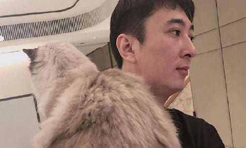 孙一宁事件被扒气疯曝料王思聪(王思聪爆孙一宁的黑料) 孙一宁事件被扒气疯曝料王思聪(王思聪爆孙一宁的黑料)