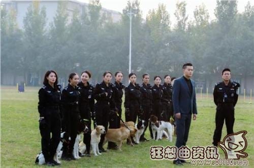 警花与警犬大结局是什么剧情?警花与警犬有(警花与警犬最后的大结局) 警花与警犬大结局是什么剧情?警花与警犬有(警花与警犬最后的大结局)