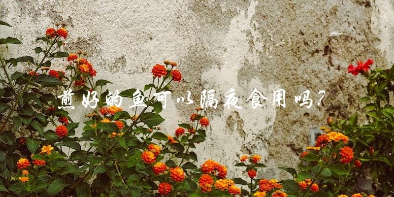 煎好的鱼可以隔夜食用吗? 煎好的鱼可以隔夜食用吗?