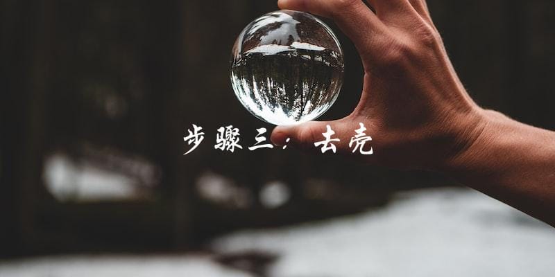 步骤三:去壳 步骤三:去壳