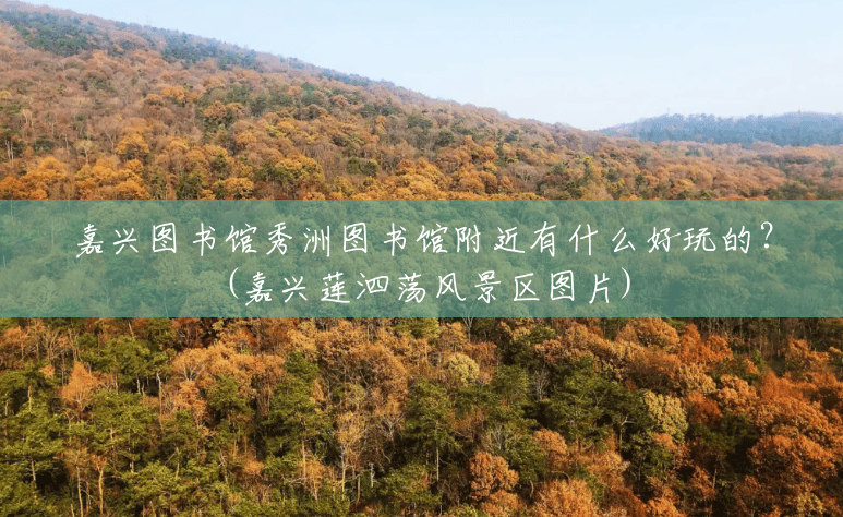 嘉兴图书馆秀洲图书馆附近有什么好玩的？(嘉兴莲泗荡风景区图片)