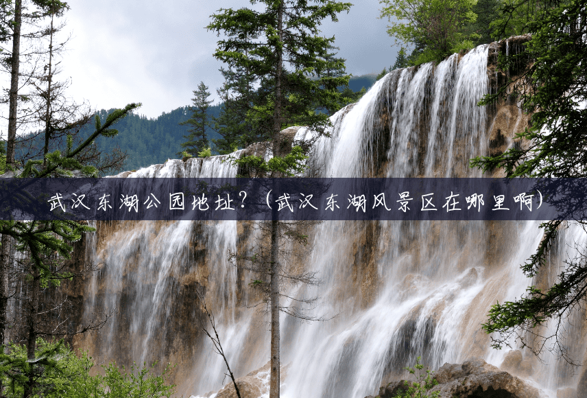 武汉东湖公园地址?(武汉东湖风景区在哪里啊) 武汉东湖公园地址?(武汉东湖风景区在哪里啊)