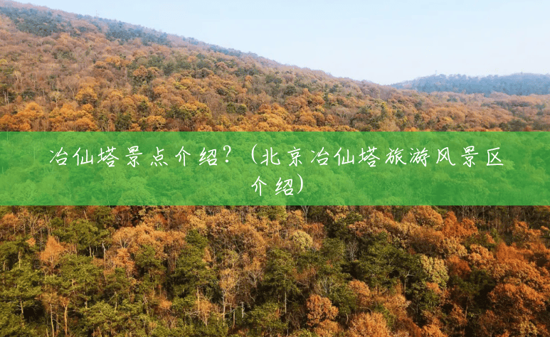 冶仙塔景点介绍？(北京冶仙塔旅游风景区介绍)