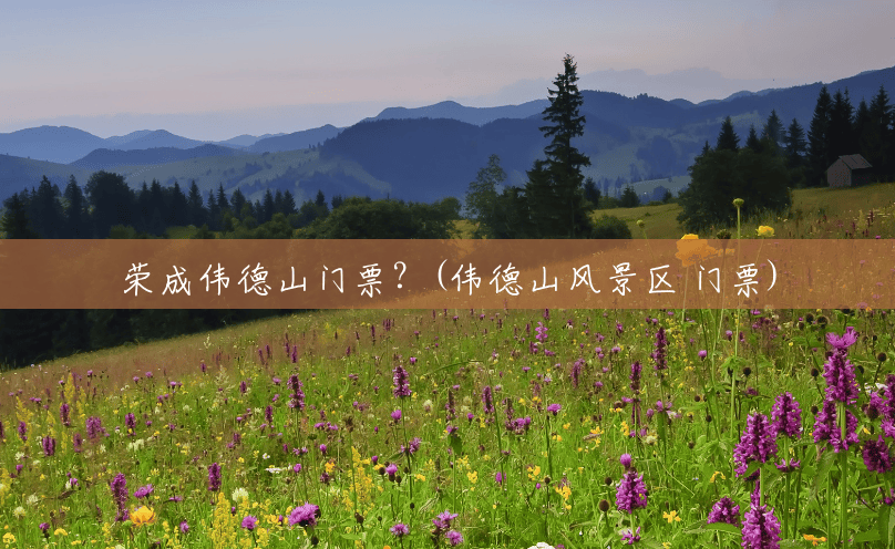 荣成伟德山门票？(伟德山风景区 门票)