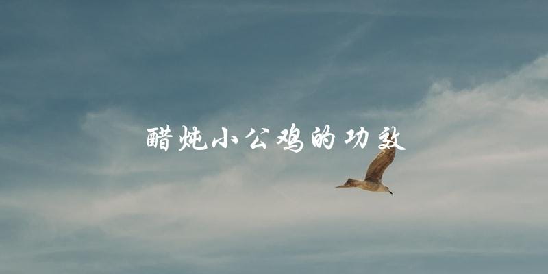 醋炖小公鸡,营养丰富,有助于健康! 醋炖小公鸡,营养丰富,有助于健康!