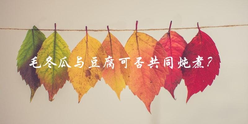 毛冬瓜与豆腐可否共同炖煮? 毛冬瓜与豆腐可否共同炖煮?
