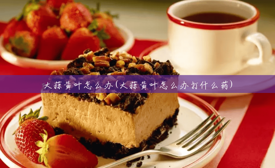大蒜黄叶怎么办(大蒜黄叶怎么办打什么药) 大蒜黄叶怎么办(大蒜黄叶怎么办打什么药)