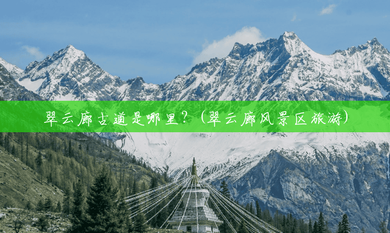 翠云廊古道是哪里?(翠云廊风景区旅游) 翠云廊古道是哪里?(翠云廊风景区旅游)
