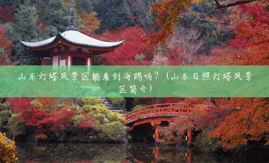山东灯塔风景区能看到海鸥吗？(山东日照灯塔风景区简介)