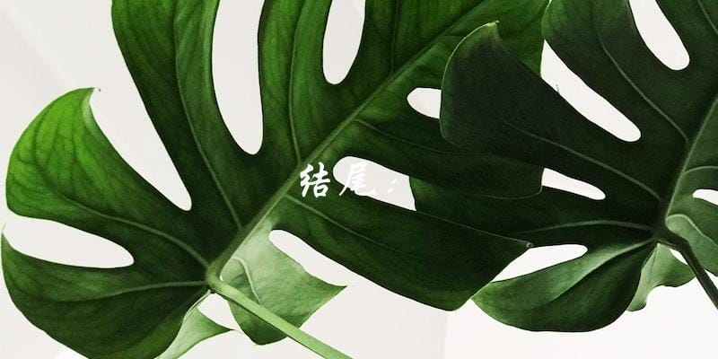 结尾: 结尾:
