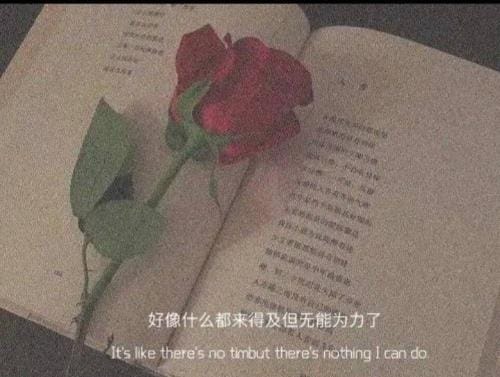 谁的青春不迷茫影评