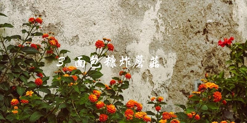 3. 面包糠炸蘑菇 3. 面包糠炸蘑菇