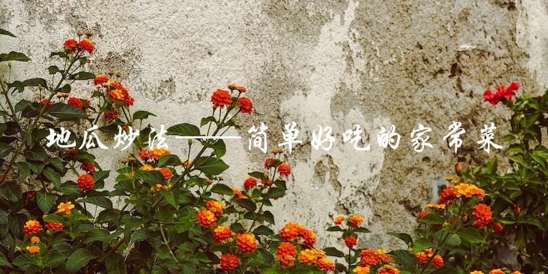 地瓜炒法——简单好吃的家常菜 地瓜炒法——简单好吃的家常菜
