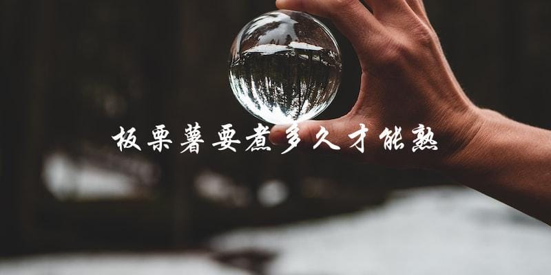 板栗薯煮多久才能熟?答案在这里! 板栗薯煮多久才能熟?答案在这里!