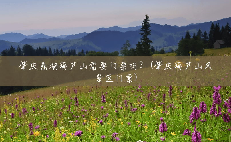 肇庆鼎湖葫芦山需要门票吗?(肇庆葫芦山风景区门票) 肇庆鼎湖葫芦山需要门票吗?(肇庆葫芦山风景区门票)