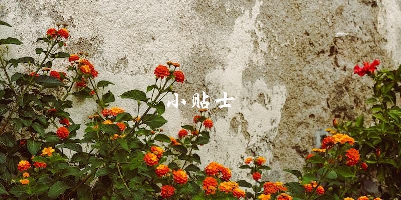 小贴士 小贴士