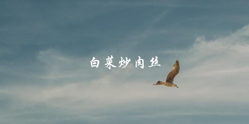 白菜炒肉丝 白菜炒肉丝