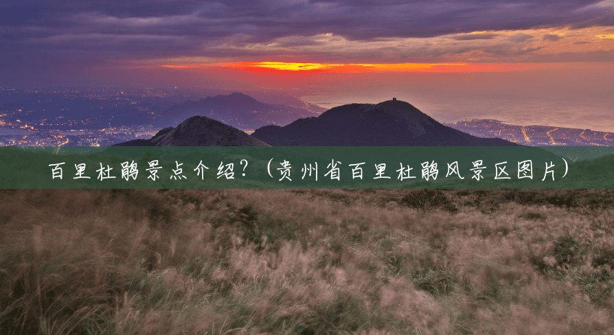 百里杜鹃景点介绍?(贵州省百里杜鹃风景区图片) 百里杜鹃景点介绍?(贵州省百里杜鹃风景区图片)