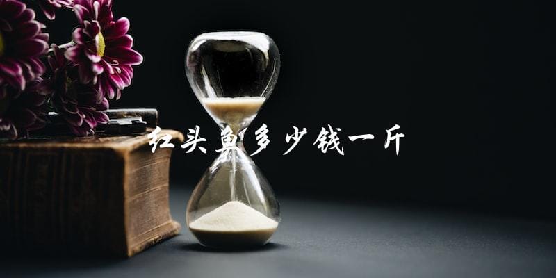 红头鱼一斤多少钱?价格详解! 红头鱼一斤多少钱?价格详解!