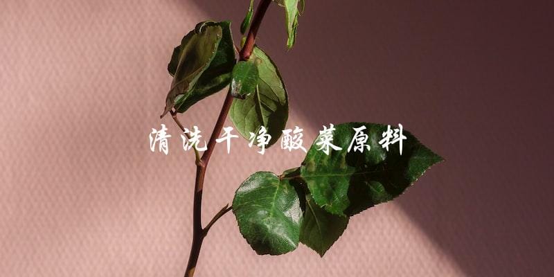 清洗干净酸菜原料