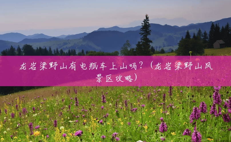 龙岩梁野山有电瓶车上山吗?(龙岩梁野山风景区攻略) 龙岩梁野山有电瓶车上山吗?(龙岩梁野山风景区攻略)
