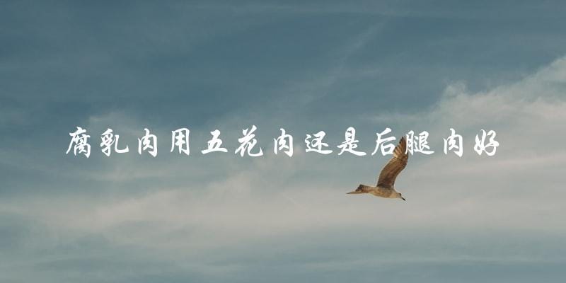 五花肉还是后腿肉更适合腐乳肉? 五花肉还是后腿肉更适合腐乳肉?