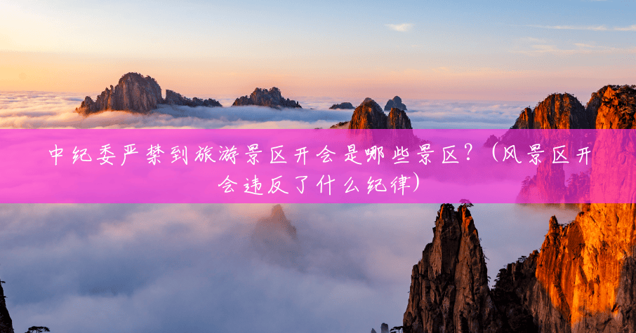 中纪委严禁到旅游景区开会是哪些景区?(风景区开会违反了什么纪律) 中纪委严禁到旅游景区开会是哪些景区?(风景区开会违反了什么纪律)