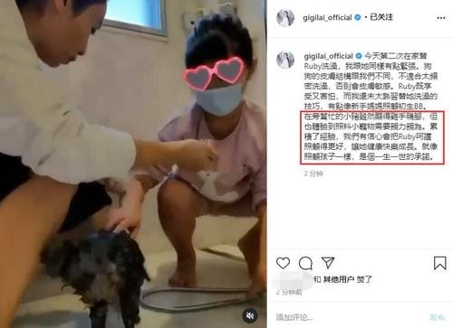 黎姿女儿,马延强(黎姿 女儿) 黎姿女儿,马延强(黎姿 女儿)