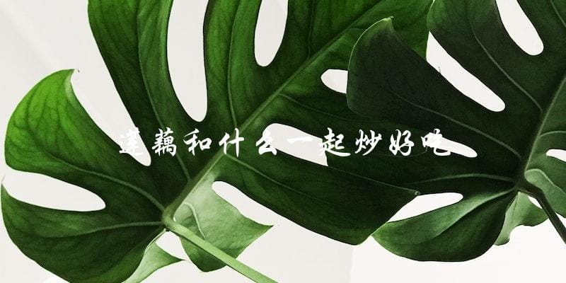 莲藕炒配什么好吃? 莲藕炒配什么好吃?