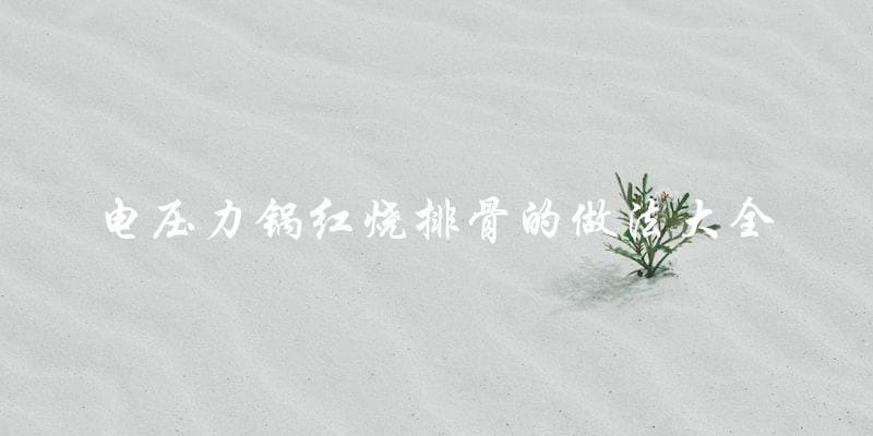 电压力锅红烧排骨的做法大全 电压力锅红烧排骨的做法大全
