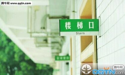 对领导失望心寒的说说