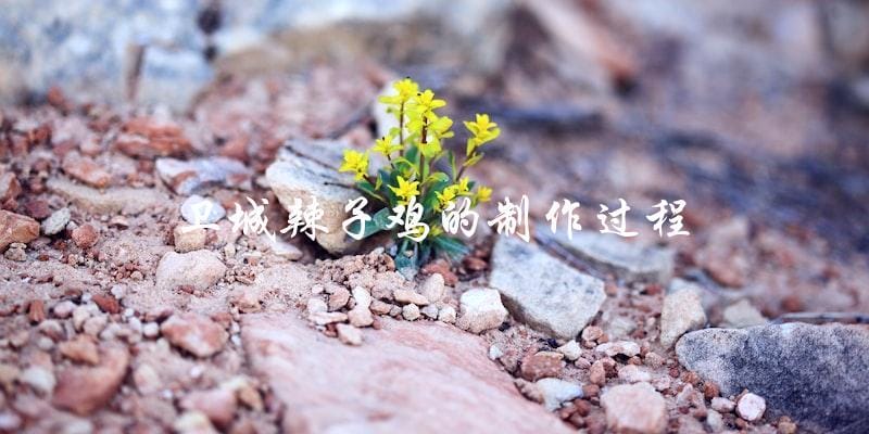 卫城辣子鸡的制作过程,一步步教你做出正宗的美食! 卫城辣子鸡的制作过程,一步步教你做出正宗的美食!