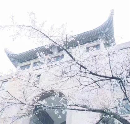 狐狸的歇后语有哪些