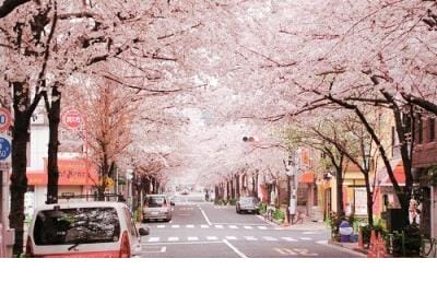 中元节说说的配图