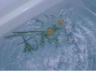 节约环保标语