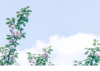 表白的话对女生简短好听