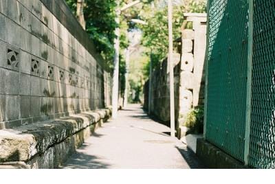 猪年元宵节祝福短信