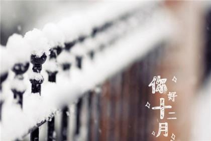 2023新婚祝福语