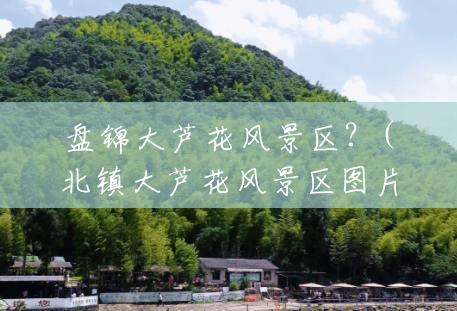 盘锦大芦花风景区?(北镇大芦花风景区图片) 盘锦大芦花风景区?(北镇大芦花风景区图片)