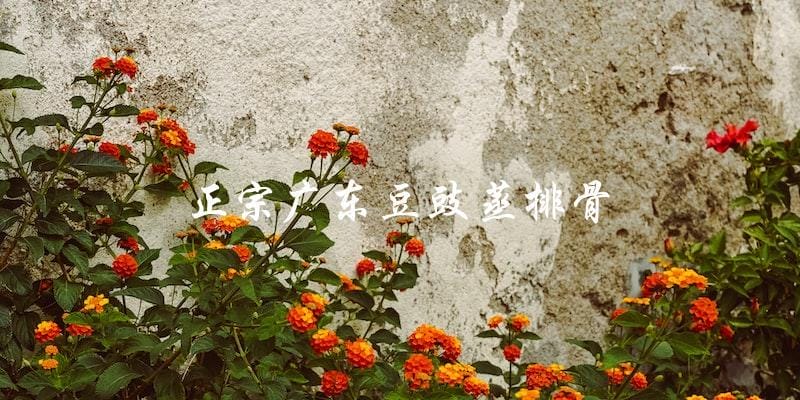 正宗广东豆豉蒸排骨,让你品尝地道的广东美食! 正宗广东豆豉蒸排骨,让你品尝地道的广东美食!