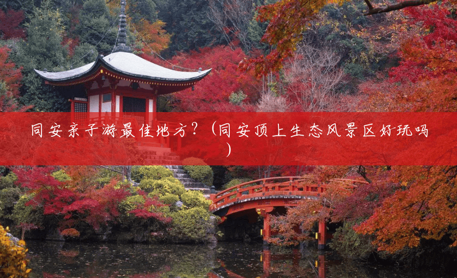 同安亲子游最佳地方？(同安顶上生态风景区好玩吗)