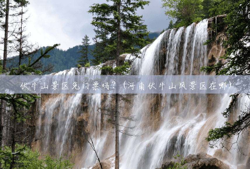 伏牛山景区免门票吗?(河南伏牛山风景区在哪) 伏牛山景区免门票吗?(河南伏牛山风景区在哪)