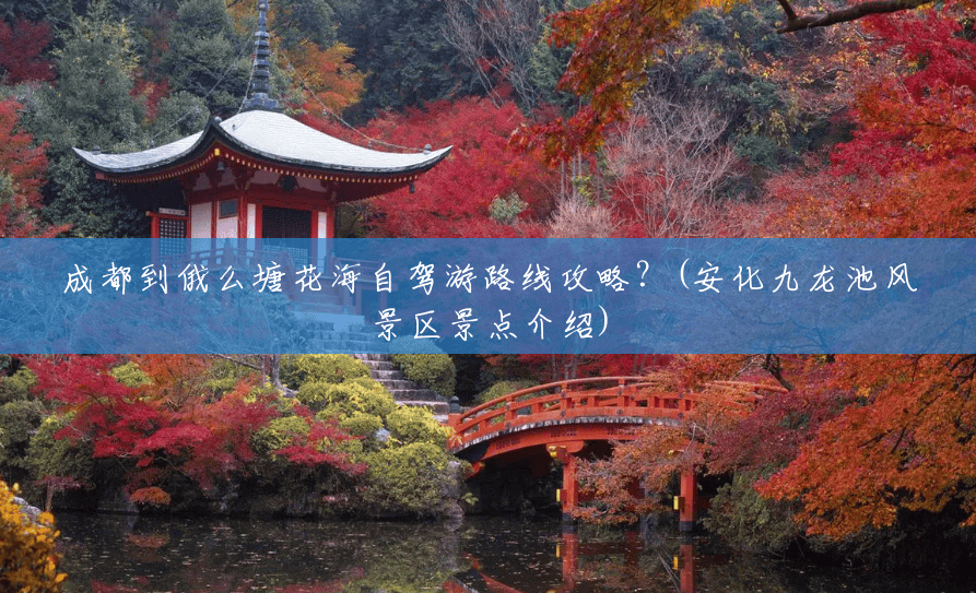 成都到俄么塘花海自驾游路线攻略?(安化九龙池风景区景点介绍) 成都到俄么塘花海自驾游路线攻略?(安化九龙池风景区景点介绍)
