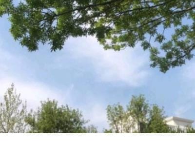 有关剪短头发伤感句子
